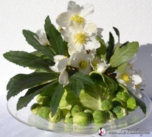 Lenten Rose centerpiece