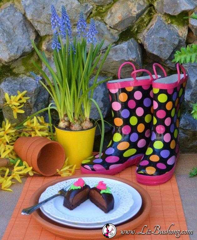 Rain Boots, Chocolate Mousse, Color Splash! /www.lizbushong.com