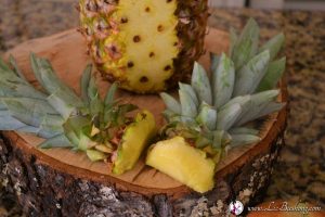 7 Steps to Create Pineapple Owl Centerpiece