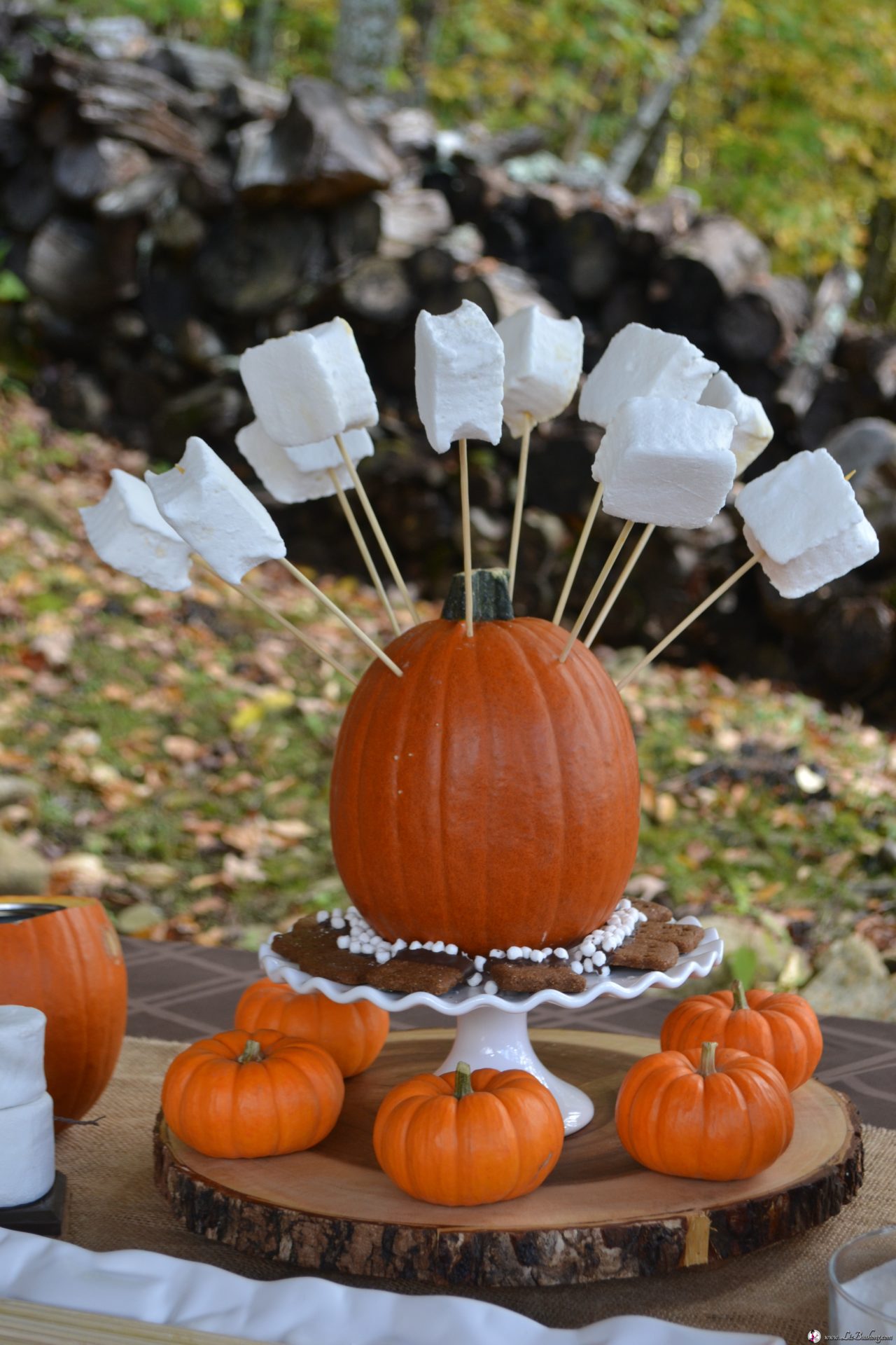smore pumpkin dessert buffet:marshmallow centerpiece|www.lizbushong.com
