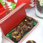 nick-of-time-chocolate, pistachio-cranberry candies lizbushong.com