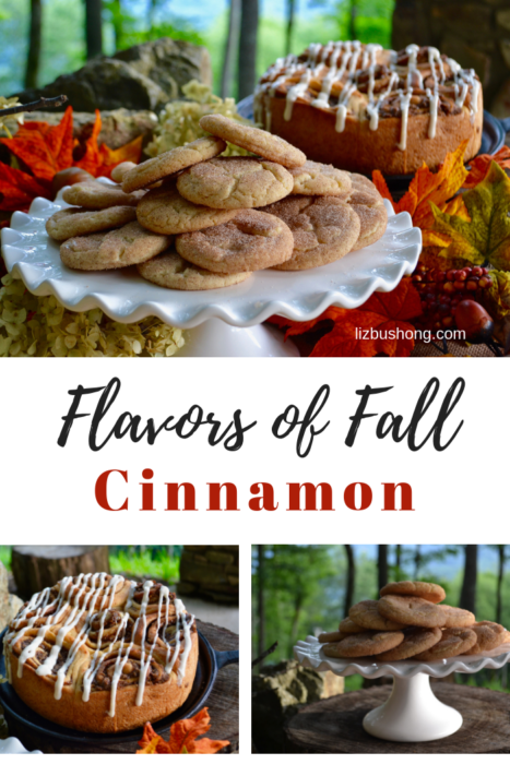 Flavors of Fall Infographic lizbushong.com