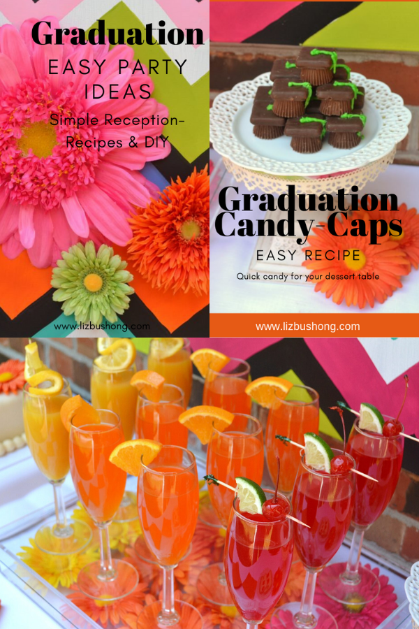 Graduation Party Idea lizbushong.com