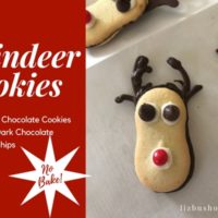 Reindeer Cookie Recipe
