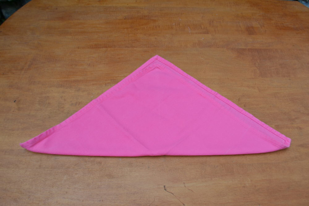 Rose Napkin Fold- Step 2-Lizbushong.com