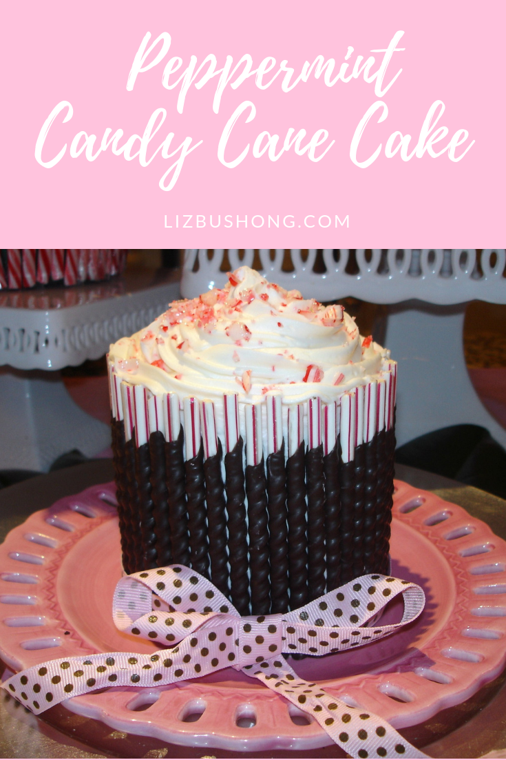 Chocolate Candy Cane Cake-lizbushong.com