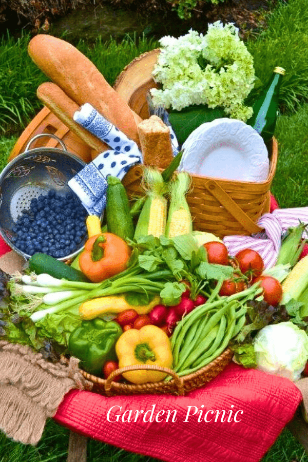 Farm to Table Garden Veggies lizbushong.com