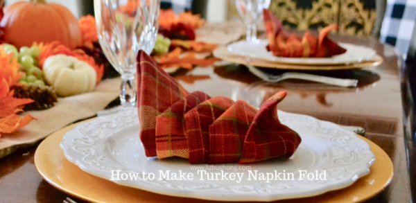 Turkey Napkin Fold Tutorial