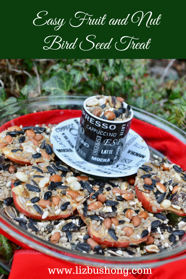 Homemade wild hotsell bird treats