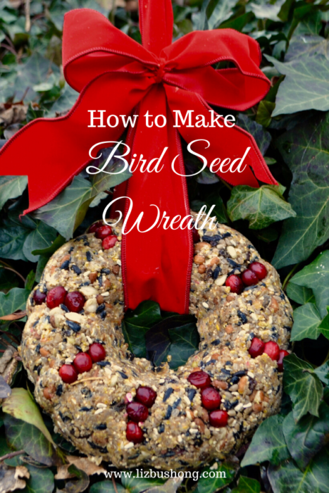 Dried Fruit and Berry Bird Seed Wreath DIY