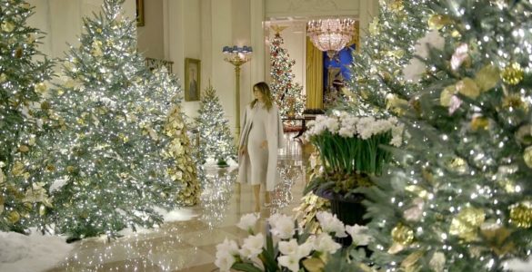 White House Christmas Decor- Paper Whites
