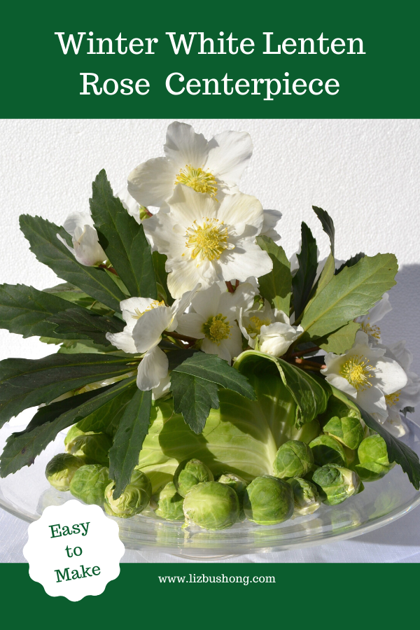 Winter Lenten Rose Centerpiece lizbushong.com