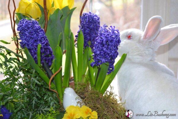 Jj bunny nipping flower arrangement for spring lizbushong.com
