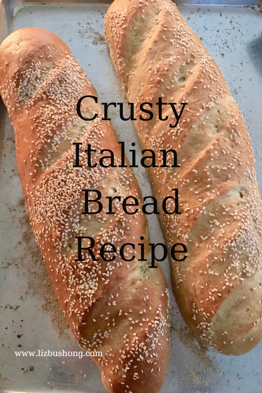 Crusty Italian Bread Loaves lizbushong.com