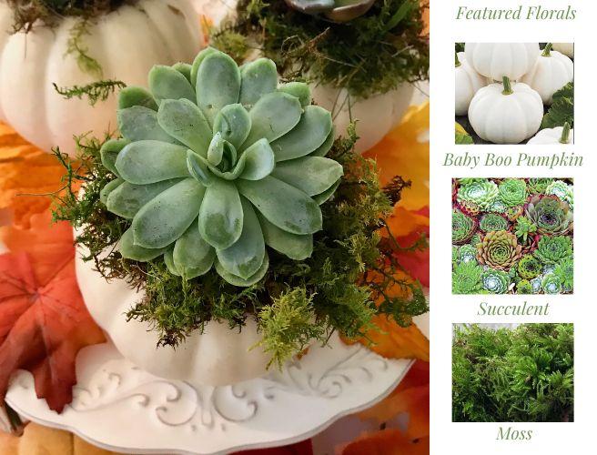 DIY Mini Succulent Pumpkin Centerpiece Idea