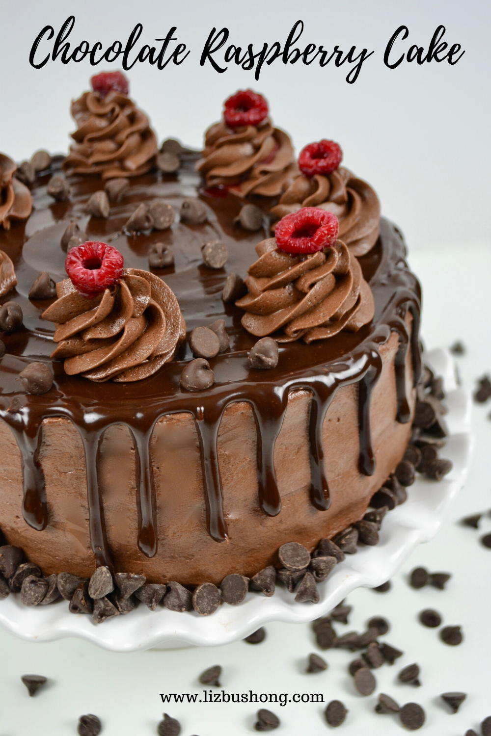 Chocolate Raspberry Layer Cake Recipe lizbushong.com
