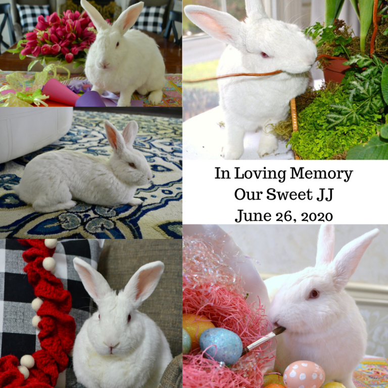 Tribute Memorial to Our Sweet Little JJ Bunny