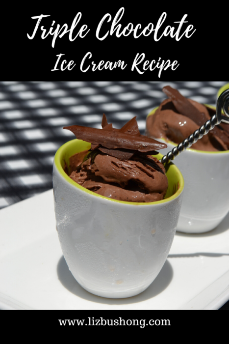 Triple Chocolate Ice Cream Recipe lizbushong.com