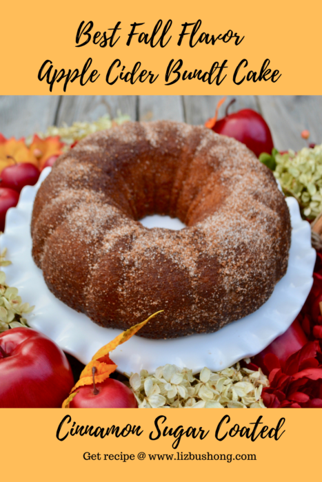 How to make Apple Cider Bundt Cake Recipe Lizbushong.com