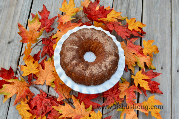 Apple Cider Cake Lizbushong.com