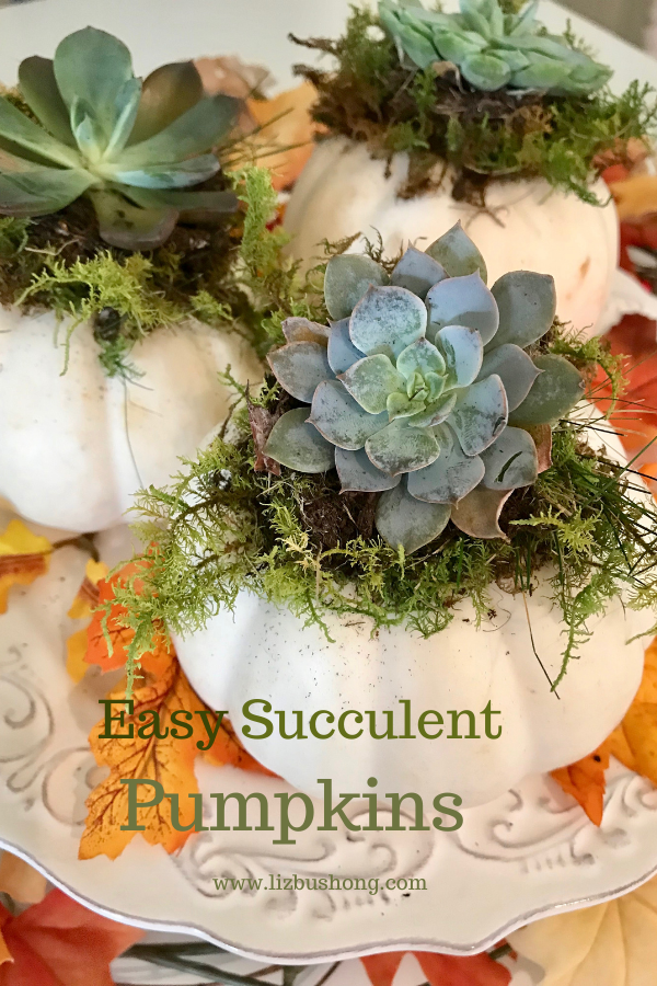 Easy Succulent Pumpkins DIY lizbushong.com