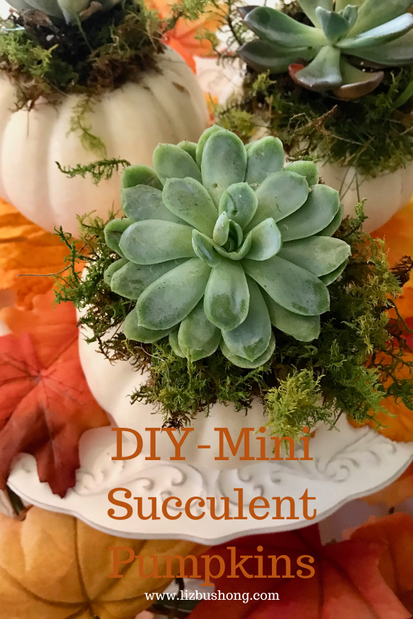 Easy Succulent Pumpkins DIY lizbushong.com