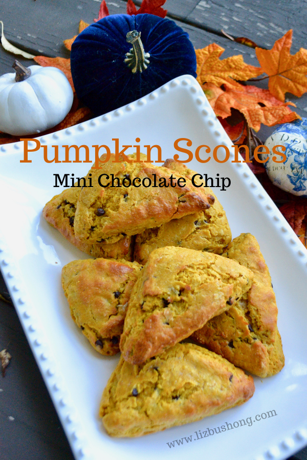 Pumpkin Scones recipe lizbushong.com