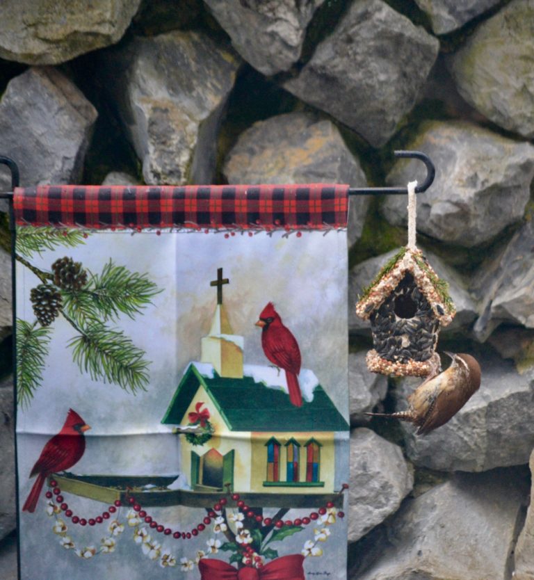 DIY Seed Covered Bird House Village Liz Bushong
