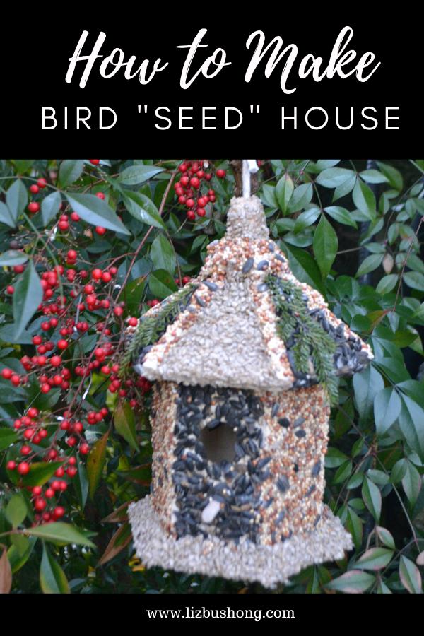 DIY Bird Seed House lizbushong.com