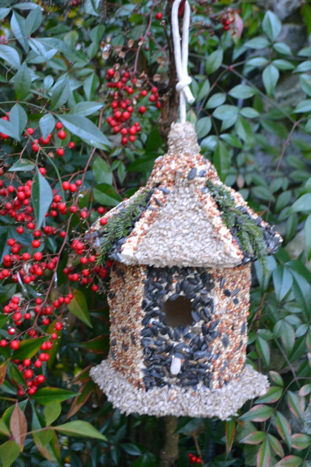 DIY Seed Covered Bird House Village Liz Bushong