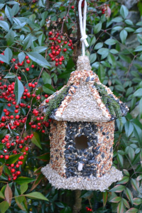 bird house in tree lizbushong.com