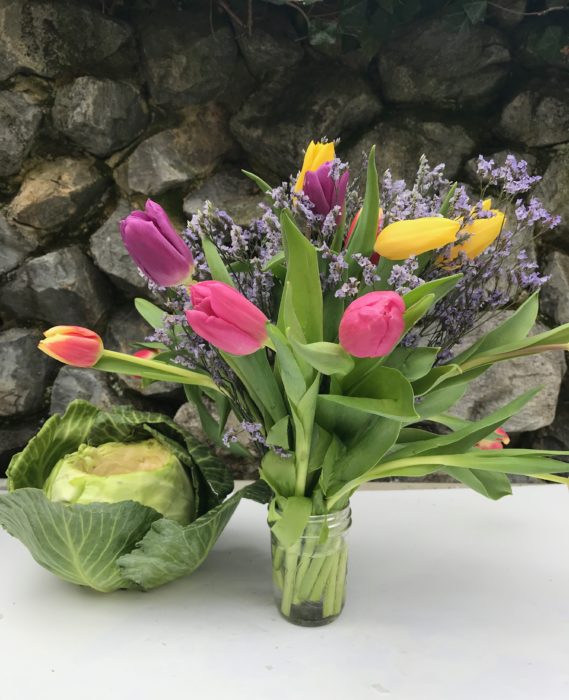 How to make cabbage vase with tulips lizbushong.com