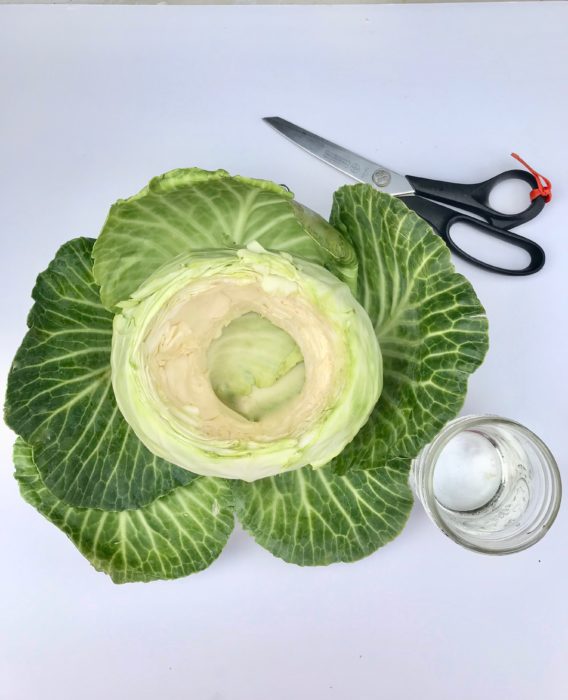 How to make cabbage vase lizbushong.com