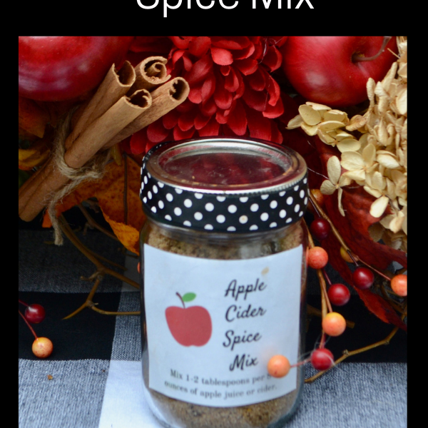 Gift Giving Apple Cider Spice Mix Liz Bushong