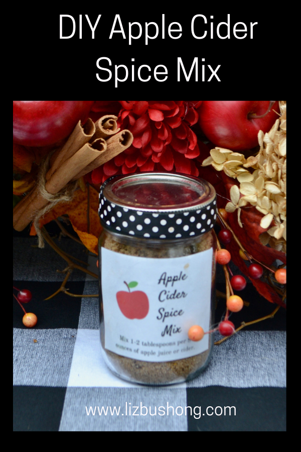 How to make apple cider spice mix lizbushong.com