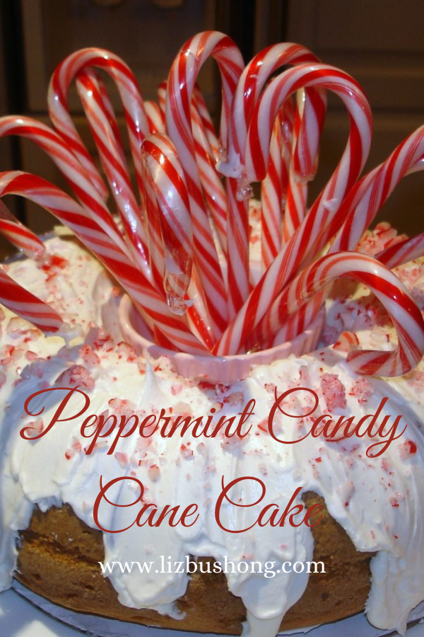 Chocolate Candy Cane Cake | America's Test Kitchen Recipe