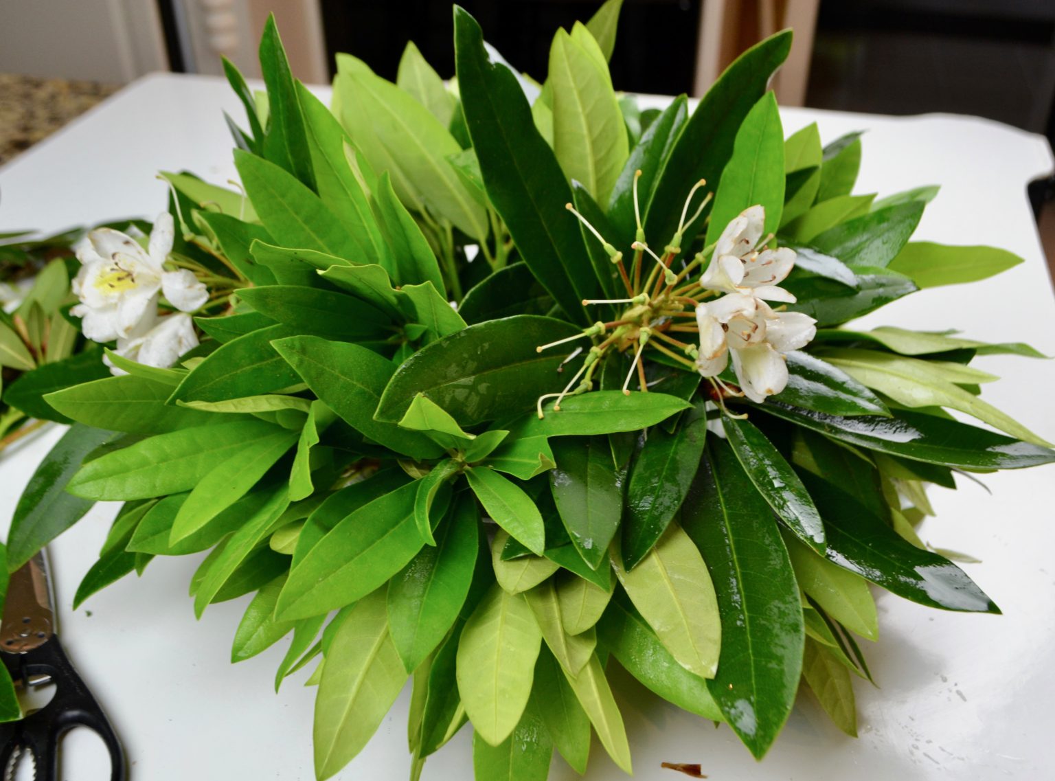 Rhododendron Floral Centerpiece Tutorial Liz Bushong