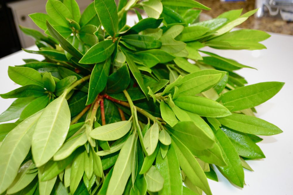 Rhododendron Floral Centerpiece Tutorial Liz Bushong