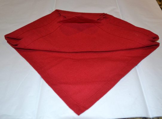 Christmas tree napkin fold DIY lizbushong.com