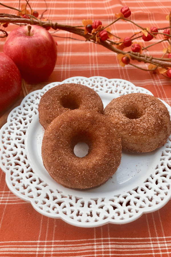 Apple Cinnamon Cider Donuts