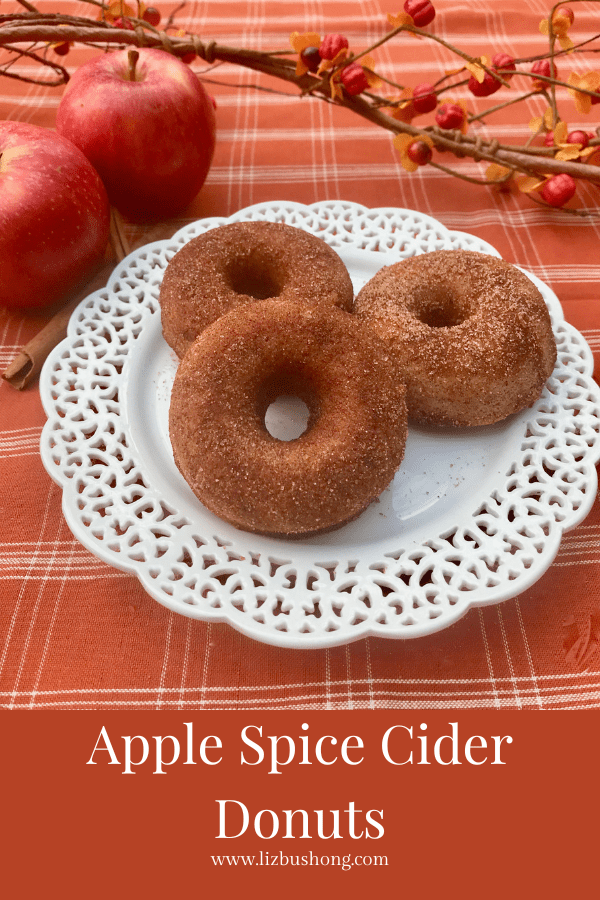 How to make Apple cider Donuts lizbushong.com