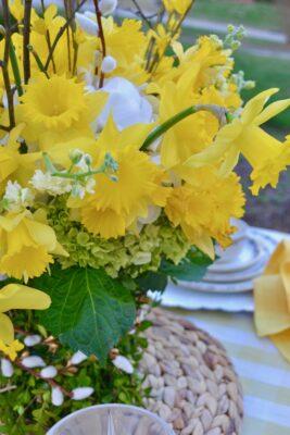 Daffodil bouquet close up lizbushong .com