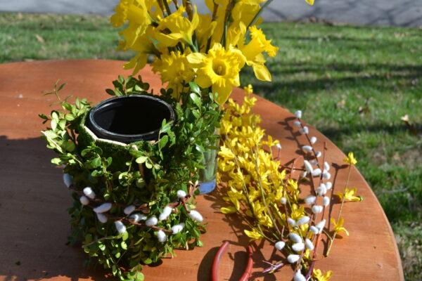 daffodil supplies for arrangement lizbushong.com