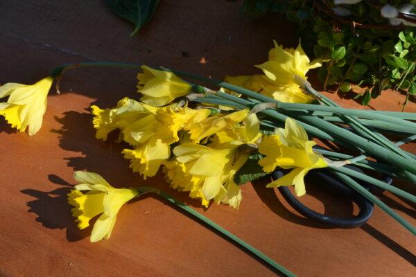 How to make daffodil centerpiece lizbushong.com