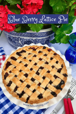 How to make Blueberry Lattice pie lizbushong.com