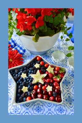 How to Make 4th of July fruit charcuterie in baking pan lizbushong.com