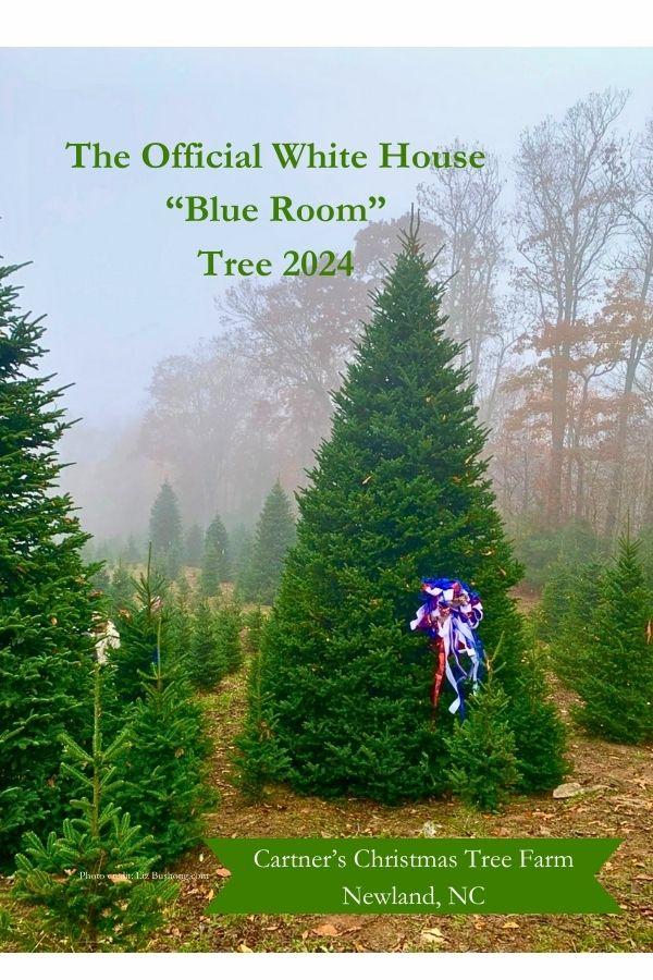 White House TBlue Room Tree Selection Event