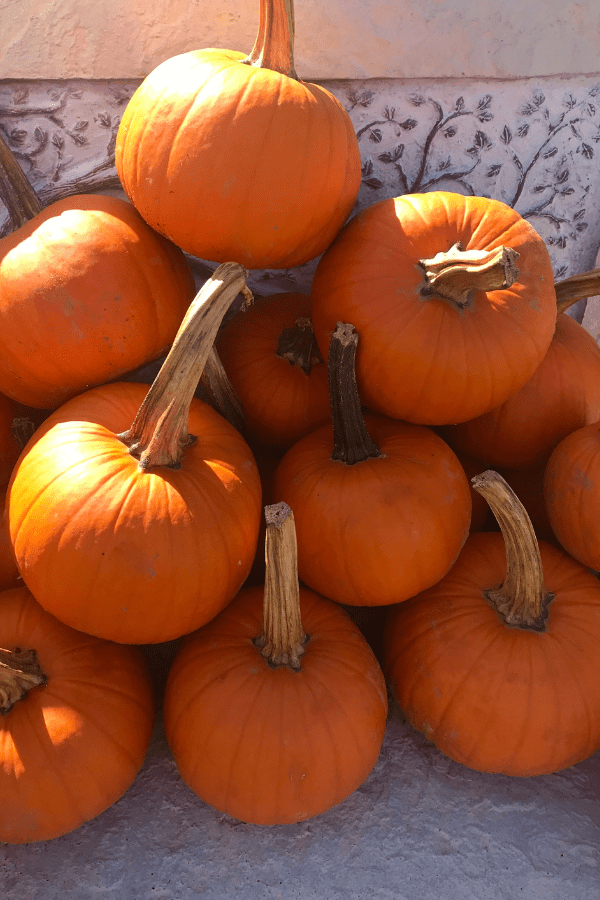 Baking Pumpkins Photo lizbushong.com