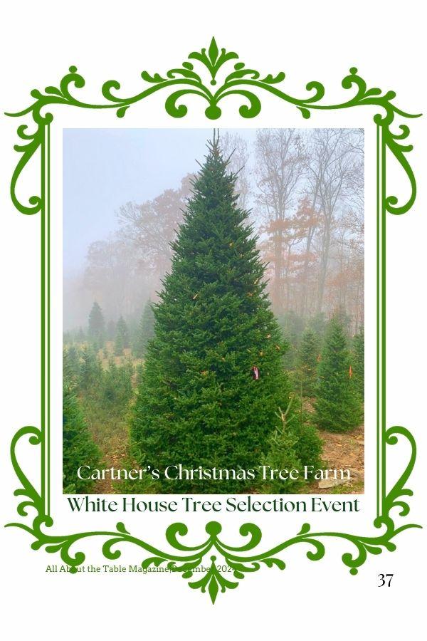 White House Blur Room Tree Selection Event 