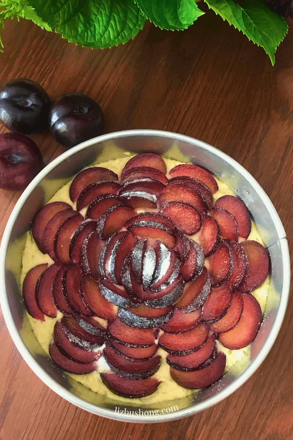 Plum Good Almond Cake Recipe lizbushong.com